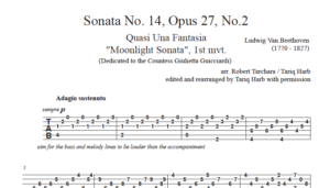 Beethoven - Moonlight Sonata, 1st mvt. (arr.Tarchara/Harb) [TABS]